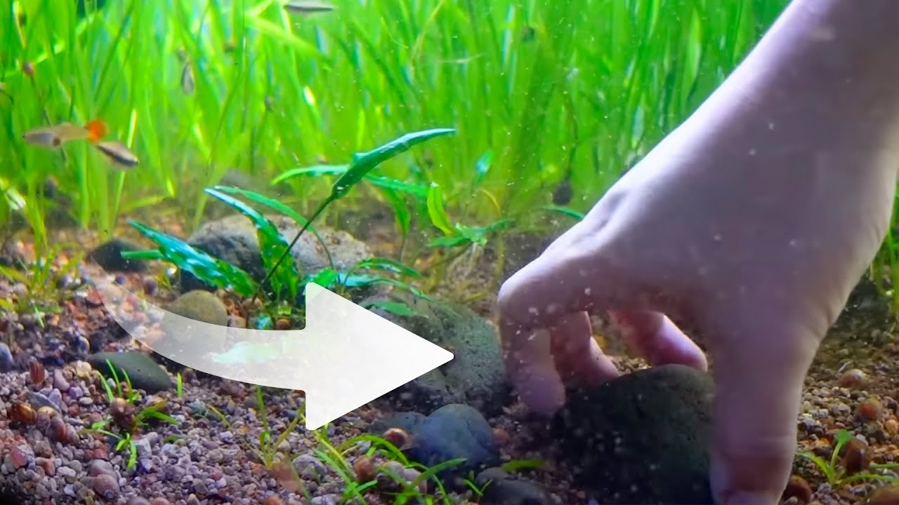 Desmontando mi ACUARIO PLANTADO de 300L