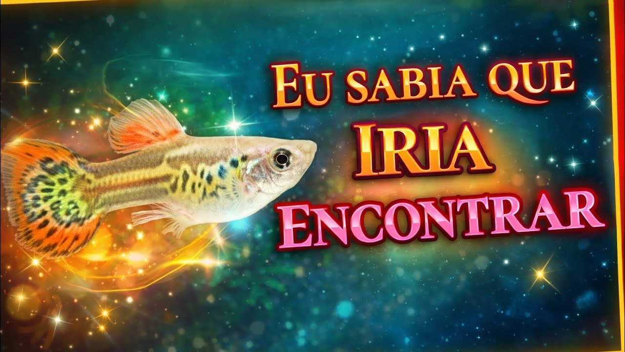 Eles apareceram 😍