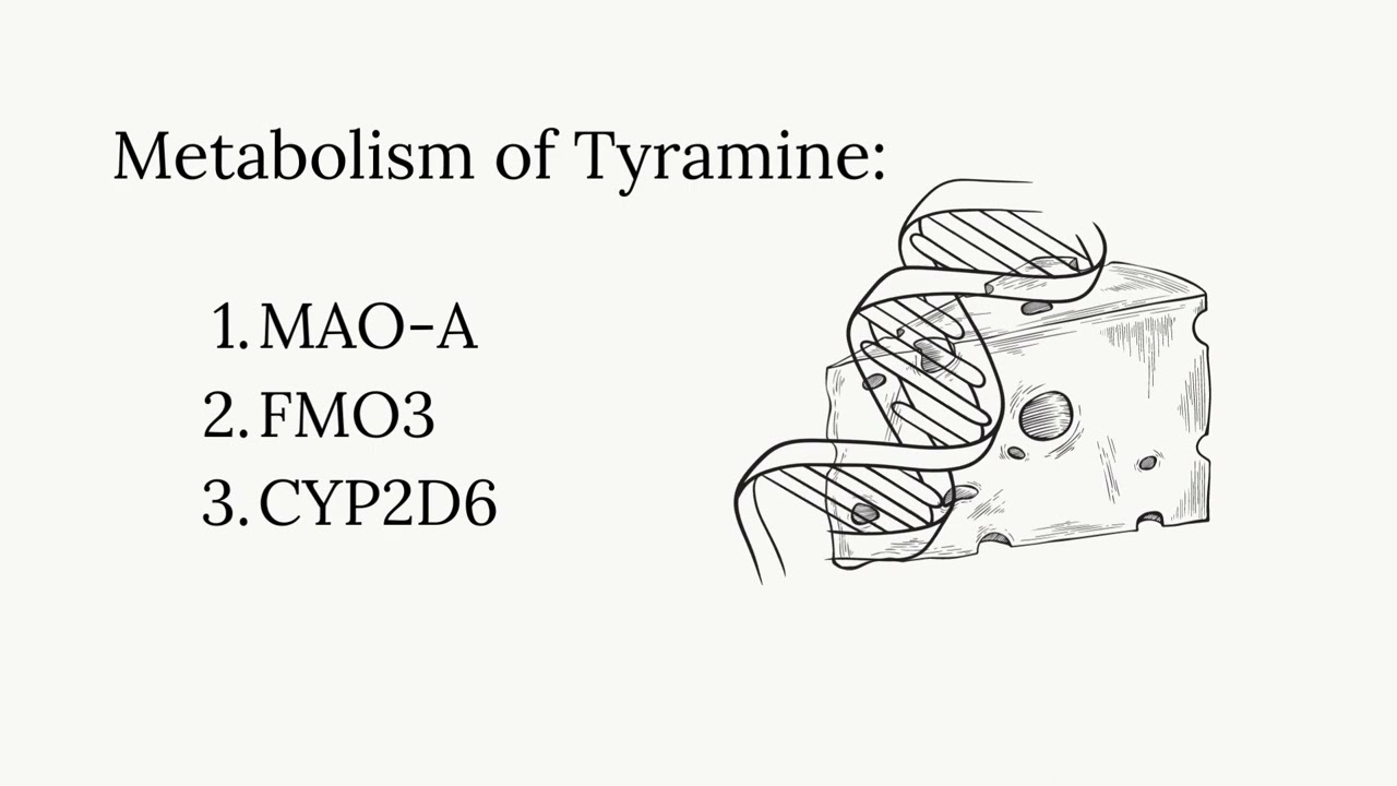 Tyramine Intolerance