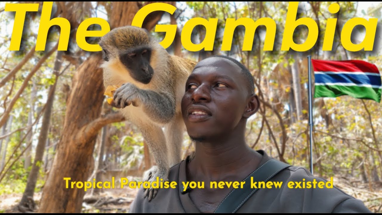 Exploring the Beauty of The Gambia — As a Gambian