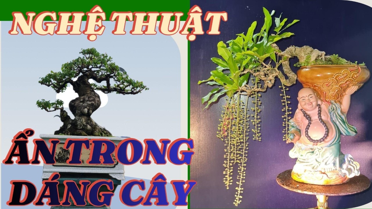 Bí mật tạo dáng bonsai: Khi thiên nhiên trở thành nghệ thuật#TạoDángBonsai #BonsaiViệtNam