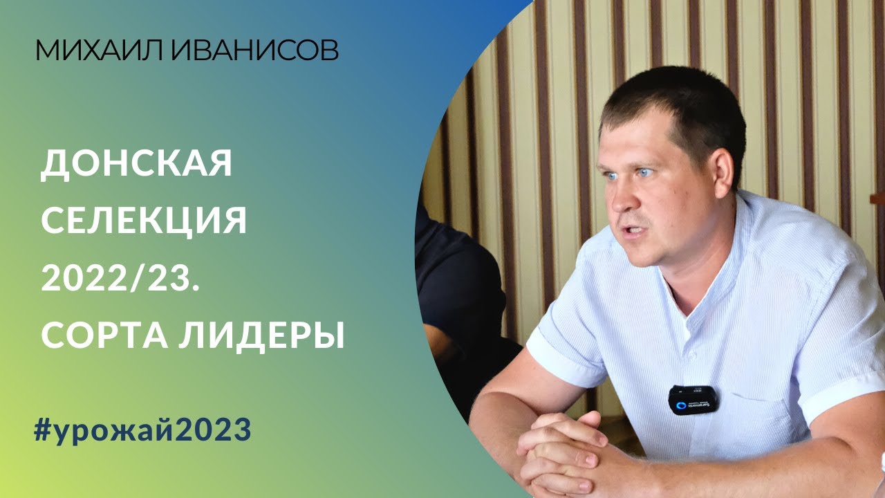 Сезон 2022/23 для пшеницы донской селекции. Какие сорта оказались в лидерах