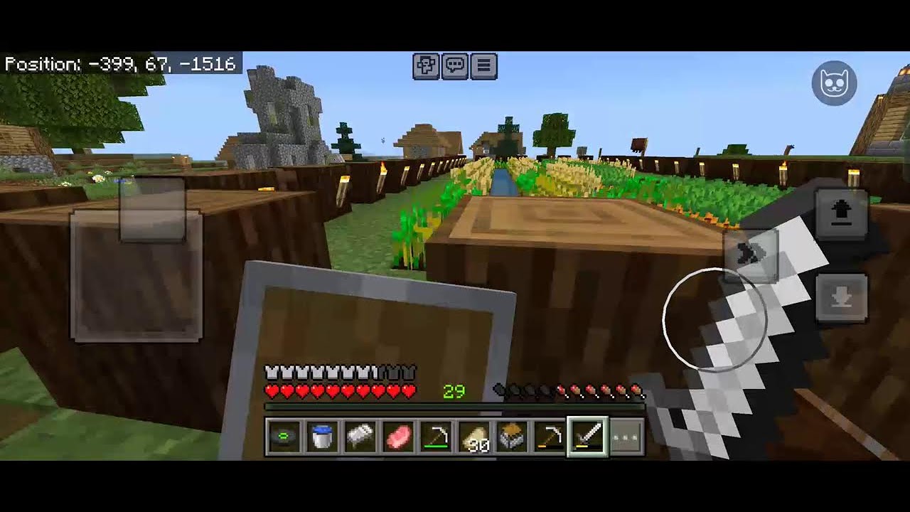 MINECRAFT DAY