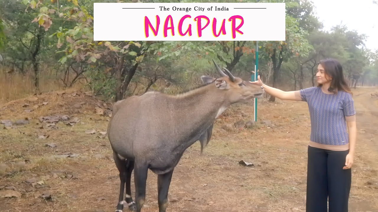 4K| Nagpur | Heart of India | Best places to visit in Nagpur | Exploring Nagpur | Nagpur Tourism