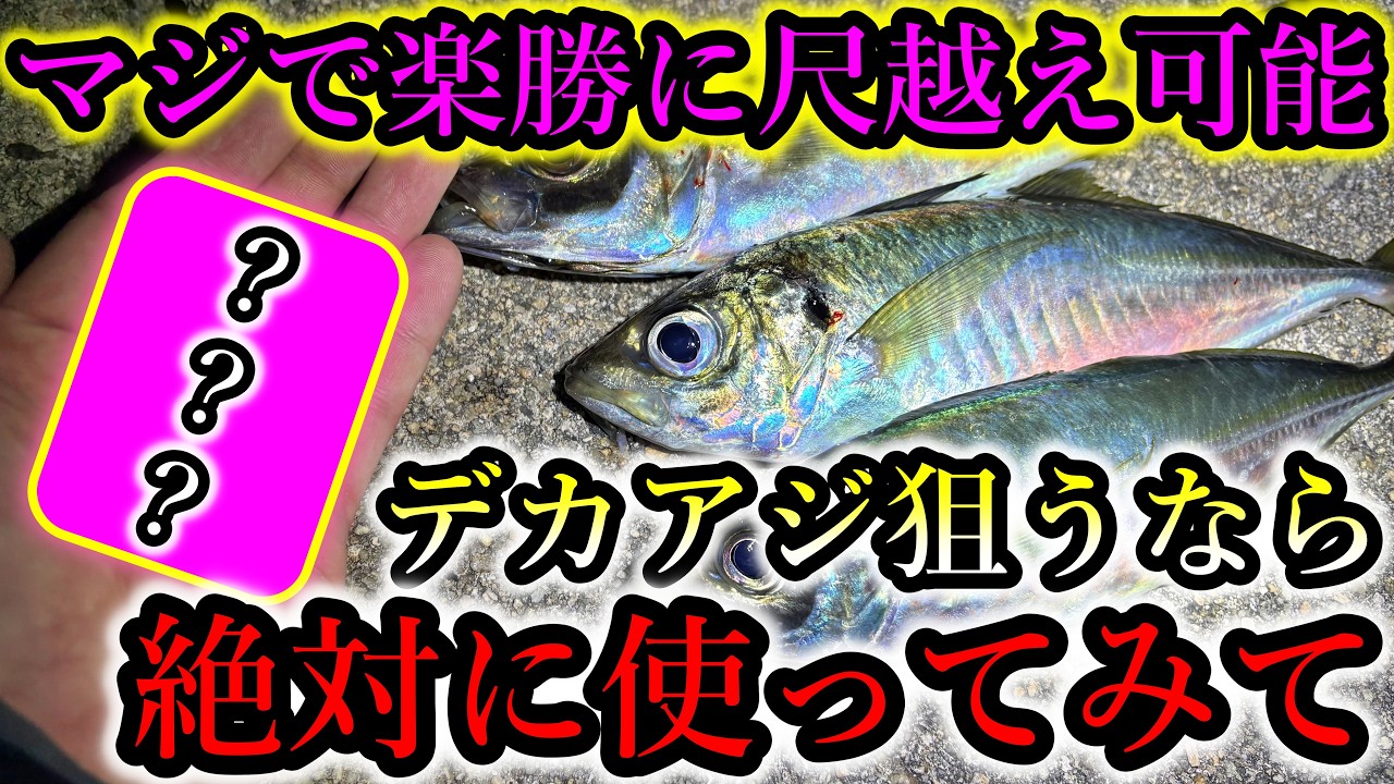 真冬の堤防で尺越え連発‥この仕掛けはデカアジばかり釣れるので覚悟してください