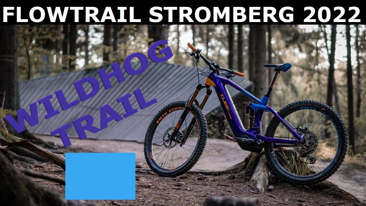 Flowtrail Stromberg - 2022 - Wildhog Trail - BLAUE Linie