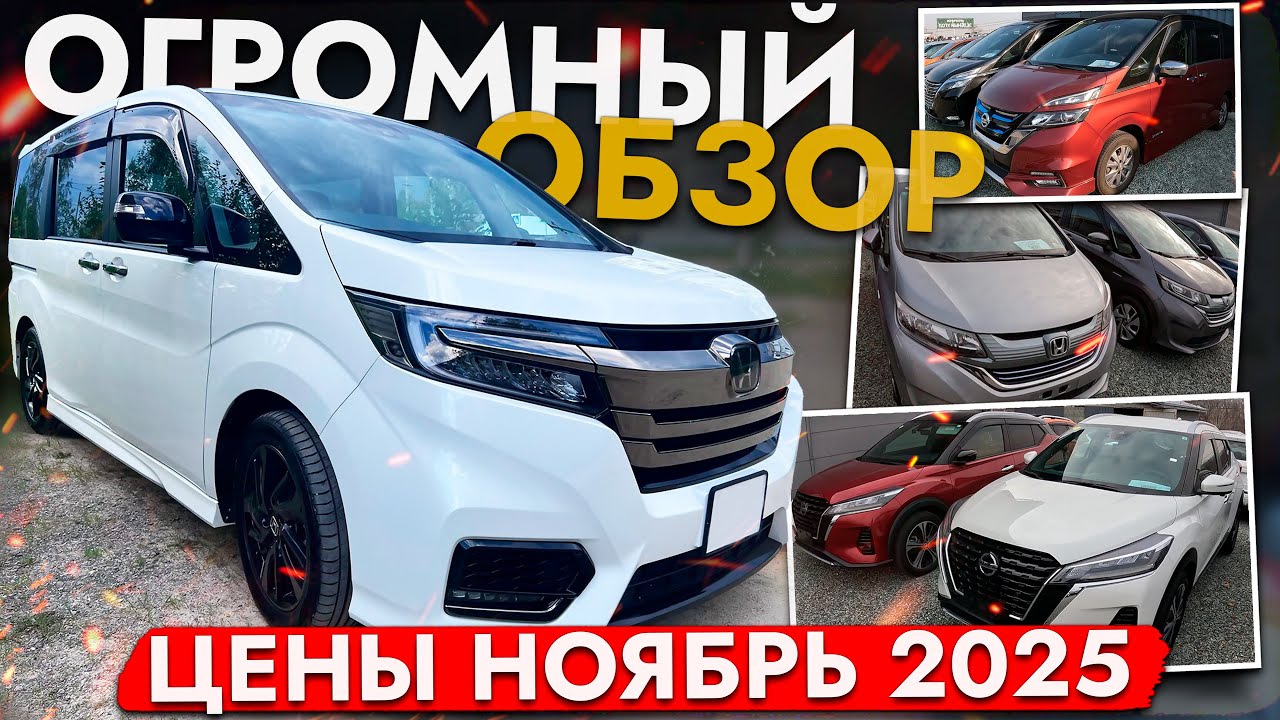 БОЛЬШОЙ ОБЗОР РЫНКА - ЦЕНЫ ноябрь 2025❗ Note, Raize, Prado, Freed, Filder, Noah, Stepwgn, Forester