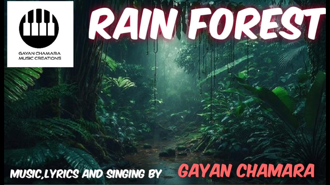 Rain Forest | Gayan Chamara Senevirathne
