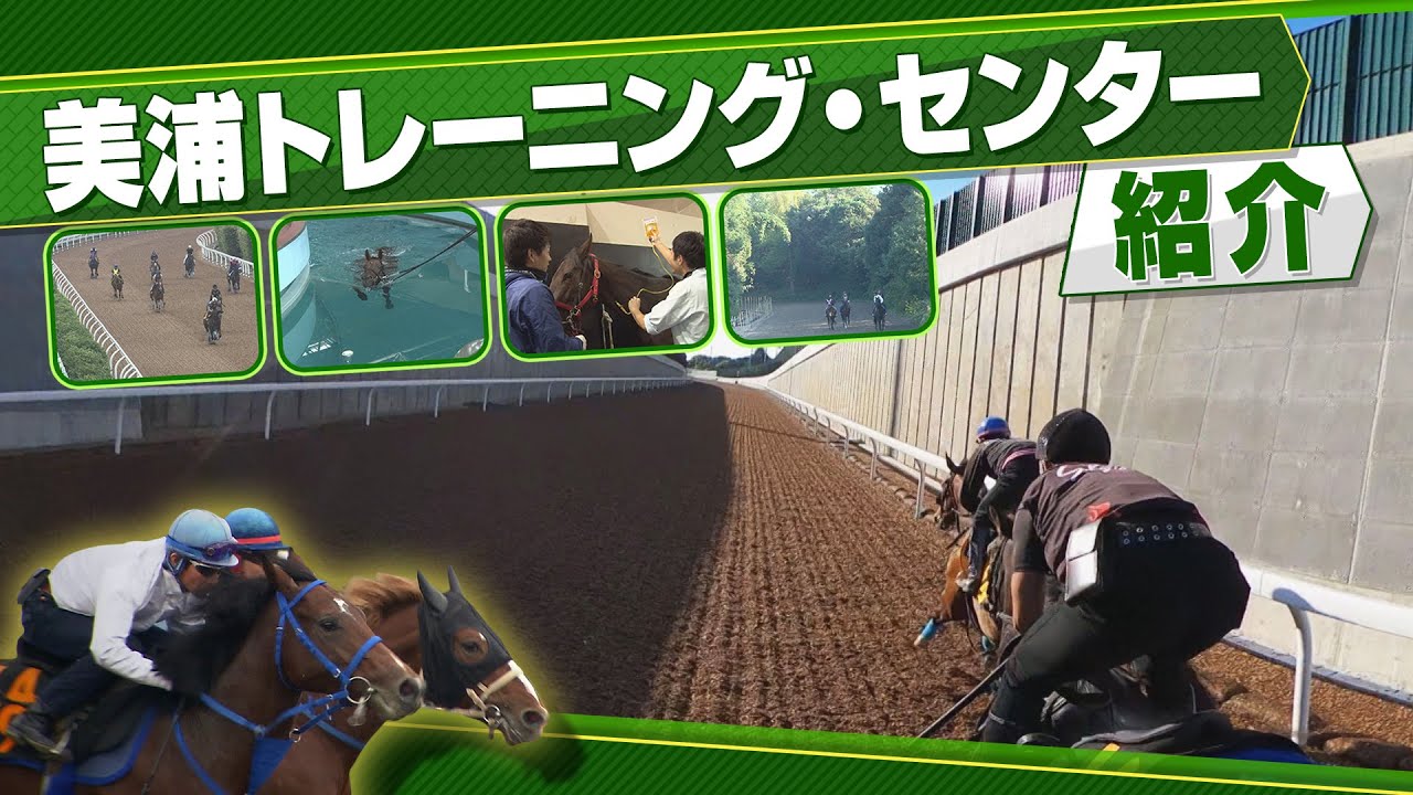 【美浦トレーニング・センター紹介】 | JRA公式