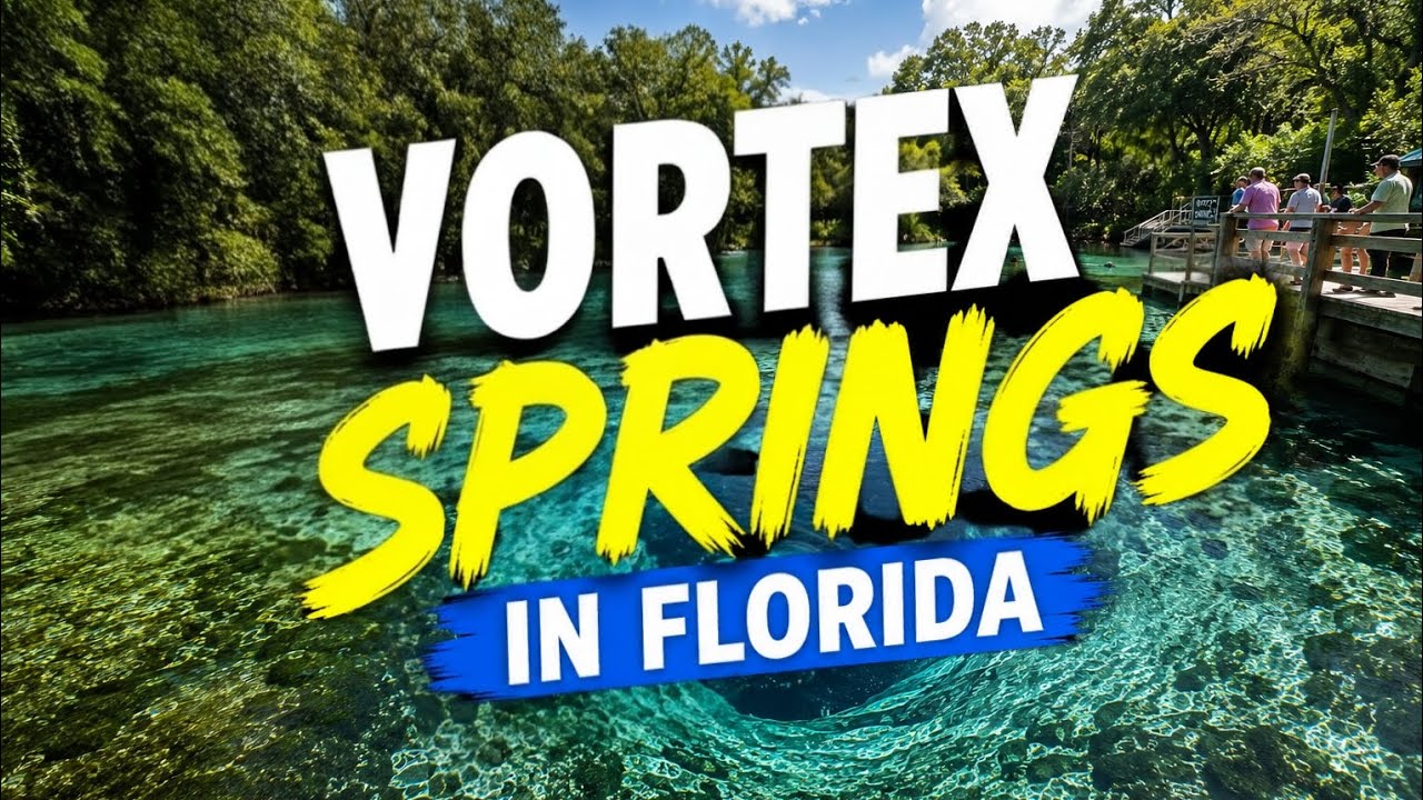 Is Vortex Springs the Best Swimming Hole in Florida?