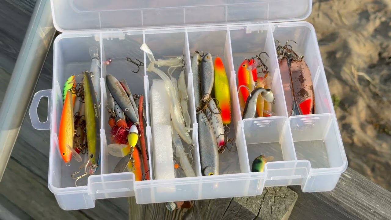 Fisketime Norra Piren Skälderviken augusti 2025