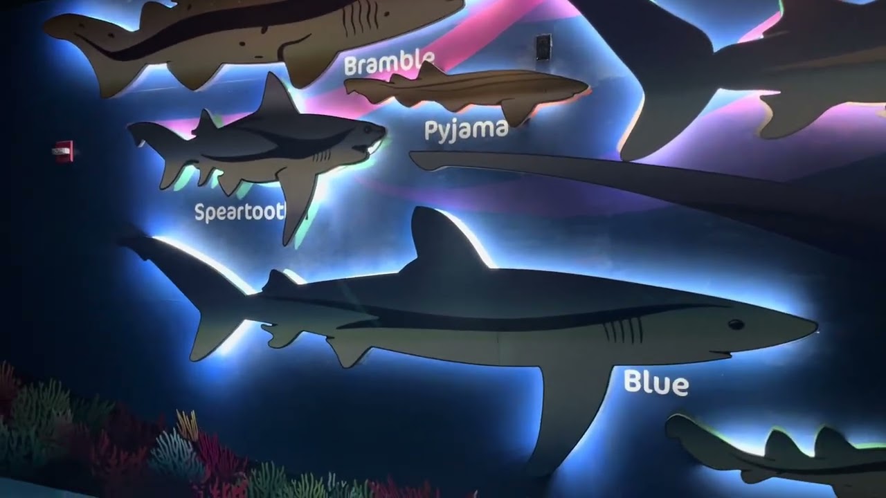 Sea world 