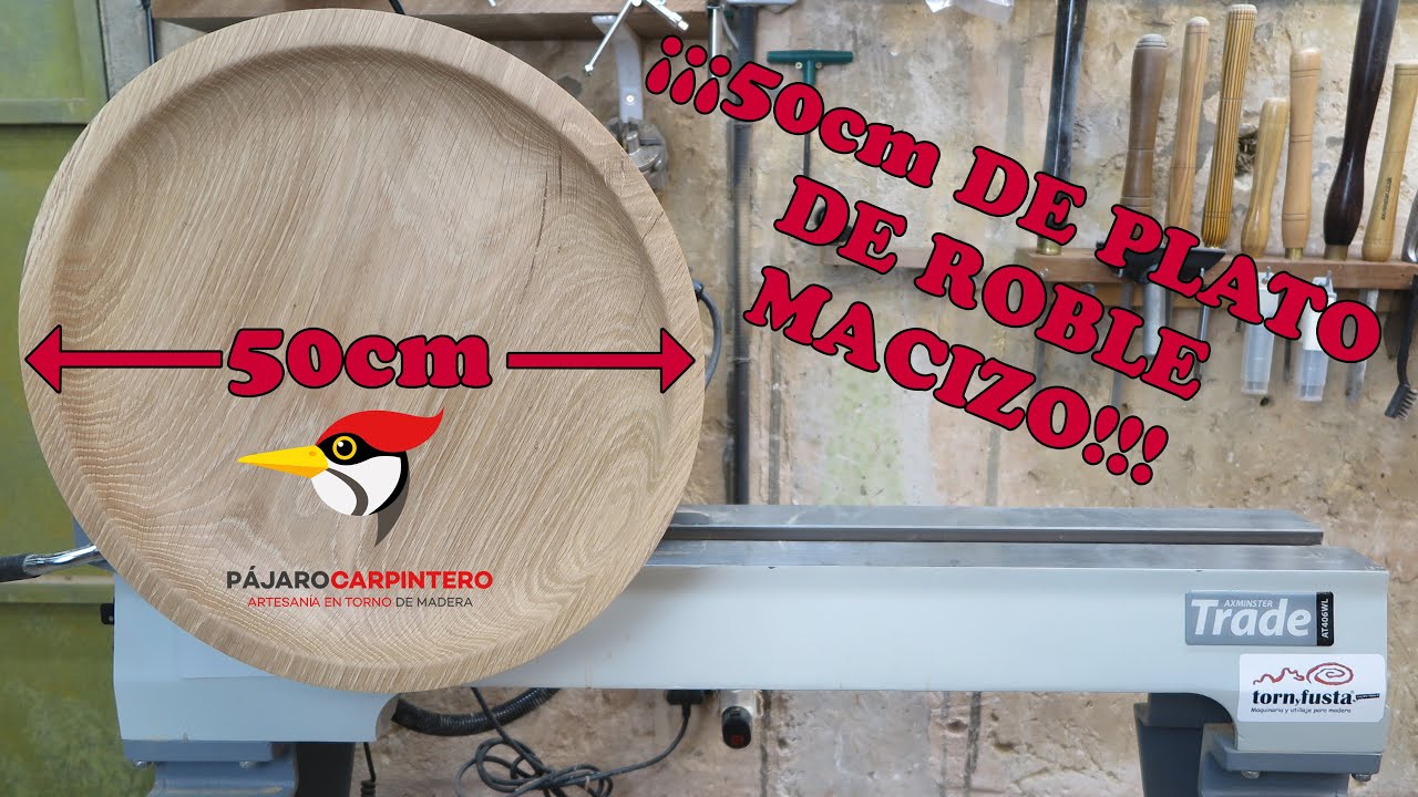 IMPRESIONANTE plato de medio metro de Roble