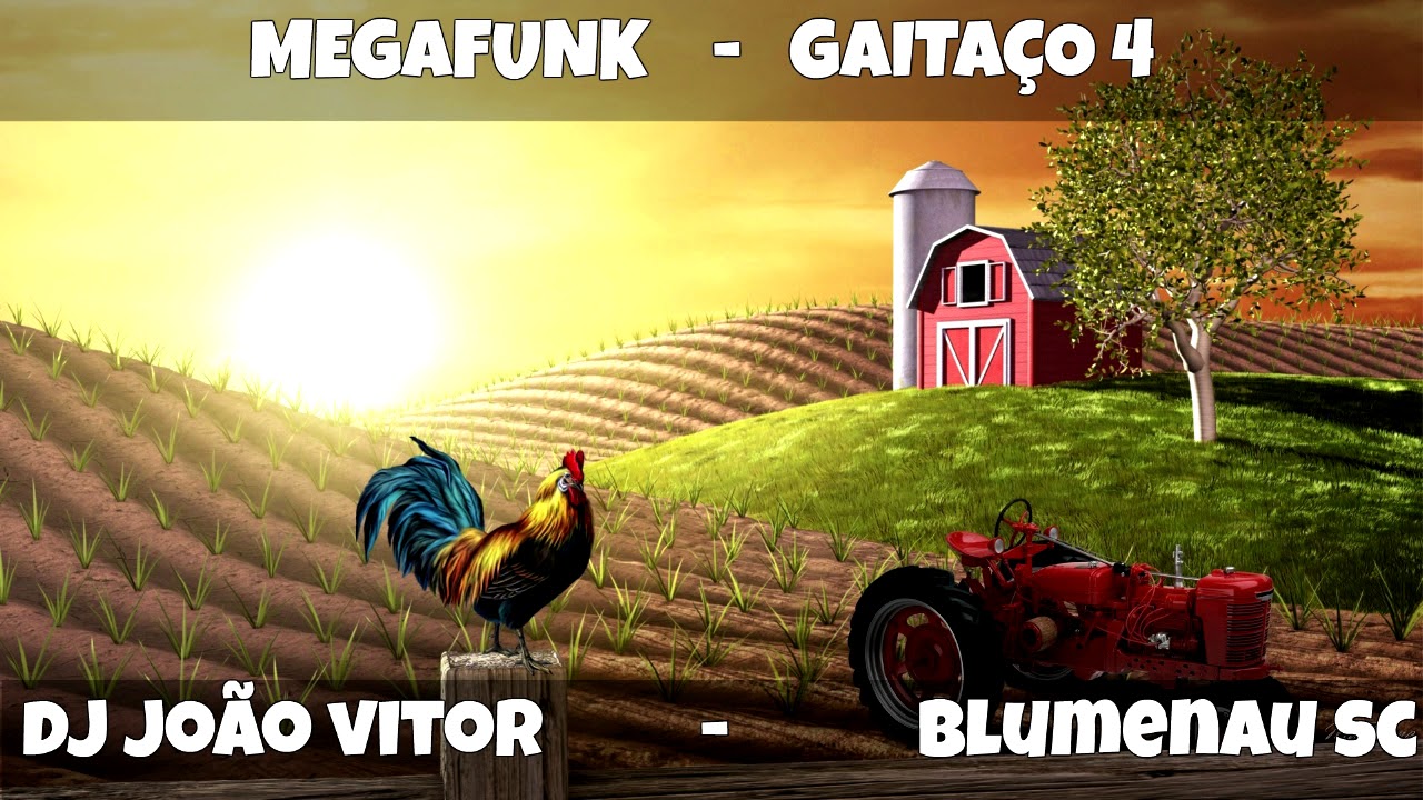 MEGAFUNK GAITA&Ccedil;O 4 (DJ JO&Atilde;O VITOR)