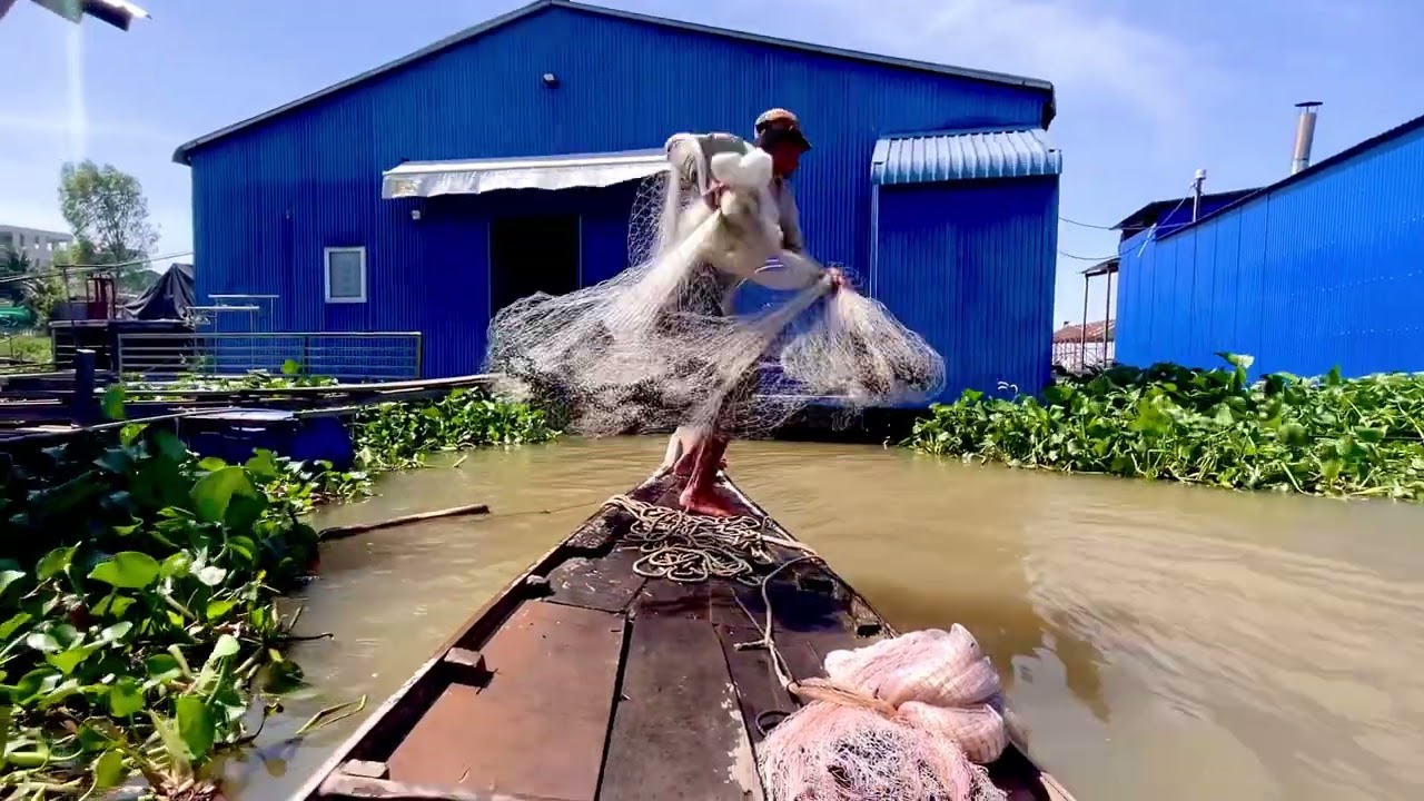 Nay Anh Em Mình Quăng Chài “DỰT DÂY” #fishing  #xomchaitv #mientay 