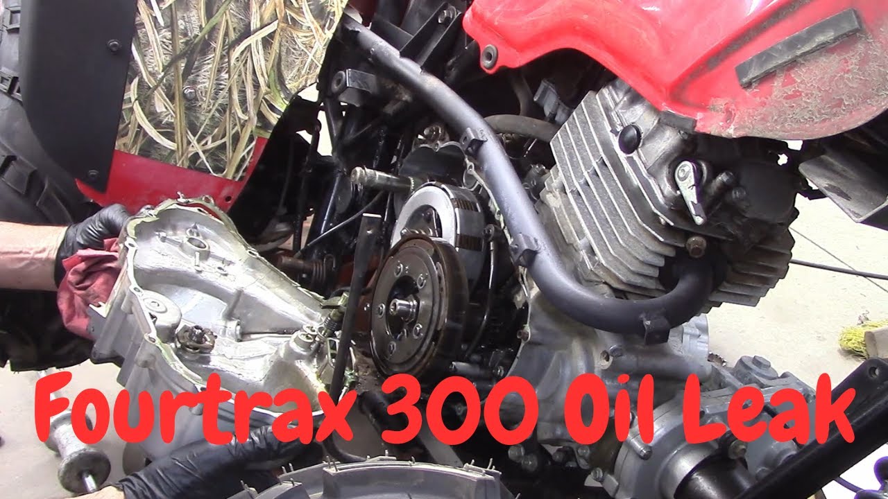 Common Fourtrax 300 oil leak location
