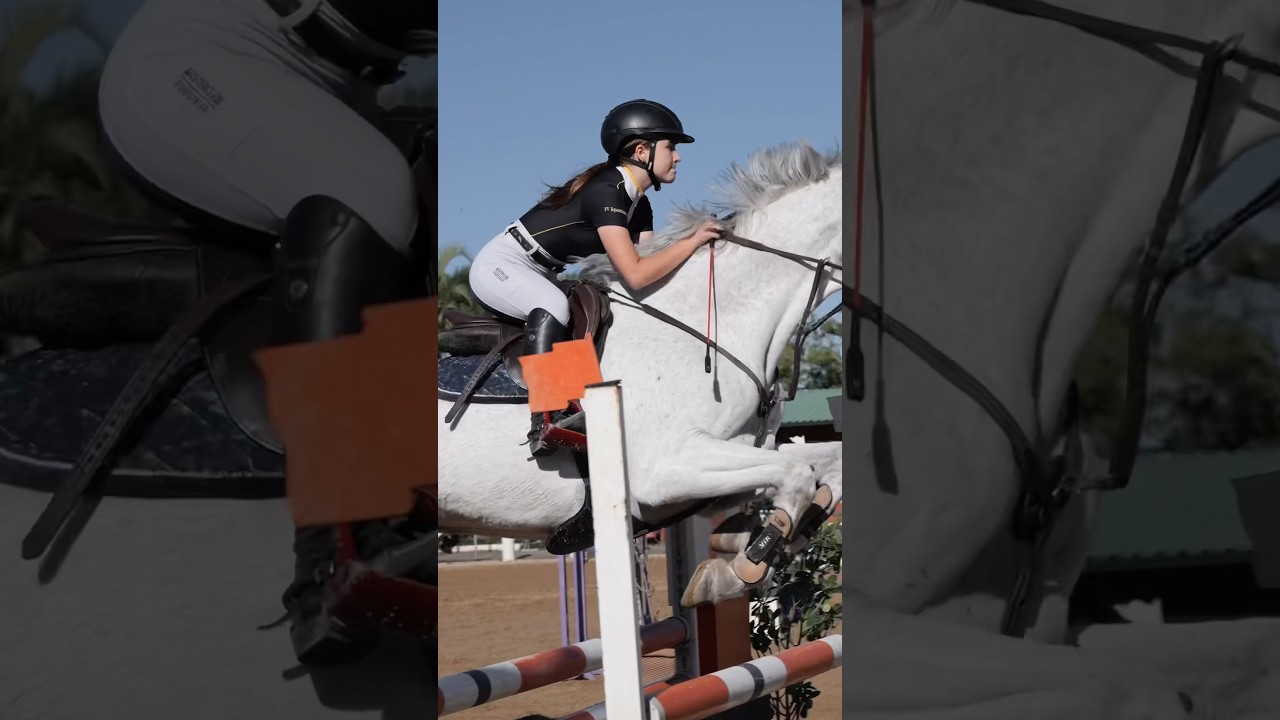 Equestrian Jumping #hipismo #showjumping #saltoshipicos #equestrian #equestriangirl