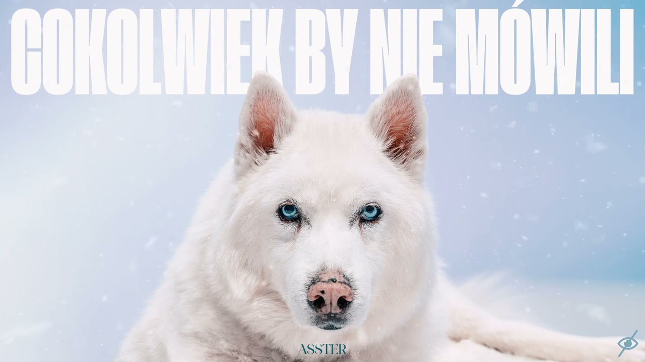 ASSTER - COKOLWIEK BY NIE MÓWILI prod. Worek