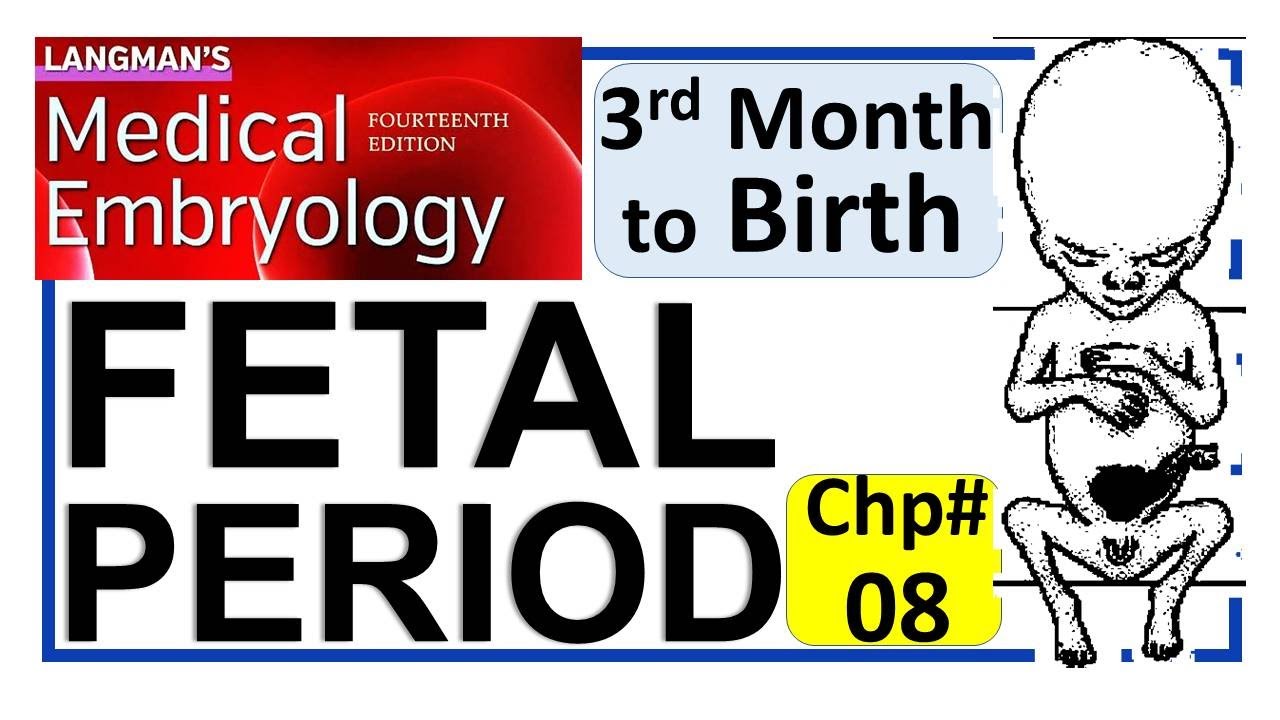 Langman Chapter#8 | Fetal | Period | Third Month to Birth | Placenta | Embryology | Dr Asif Lectures