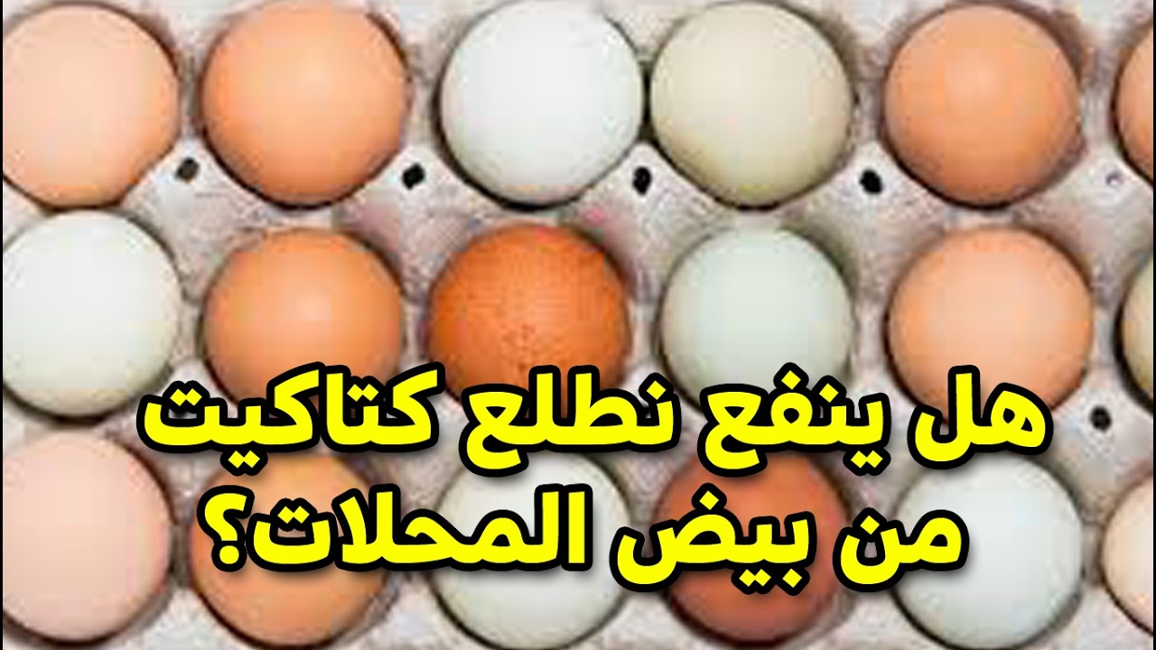 تحدي بيض السوبر ماركت! 🥚 هل ينفع نطلع كتاكيت من بيض المحلات؟سر اختيار بيض الترقيد من زحمة السوق
