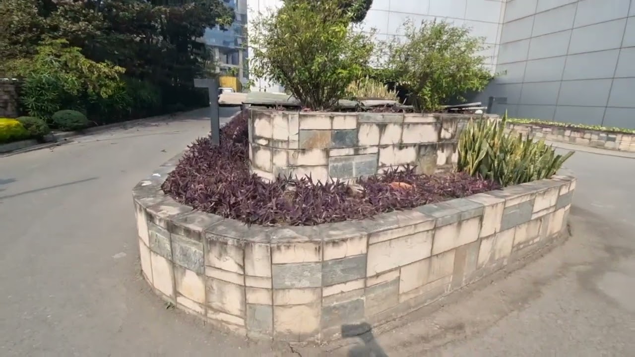 এয়ারপোর্টের অপজিট মার্কেট দেখে এয়ারপোর্টের দৃশ্য খুব সুন্দর দেখা যায়🥰🤩