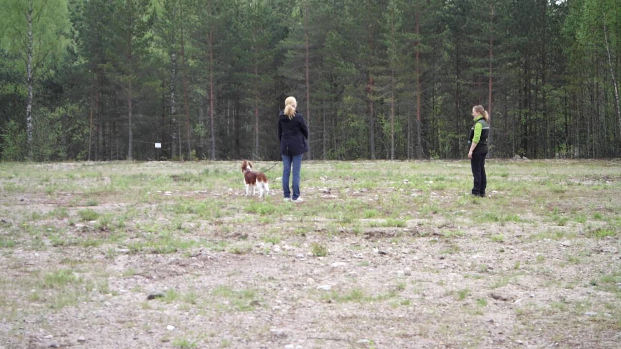 MH-luonnekuvaus ampuminen passiivisuuden aikana (Sami)