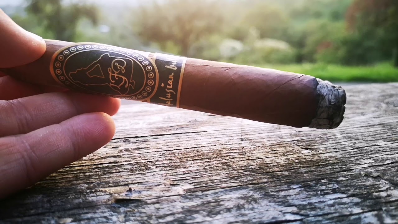 La Flor Domenicana Andalusian Bull Zigarren Review