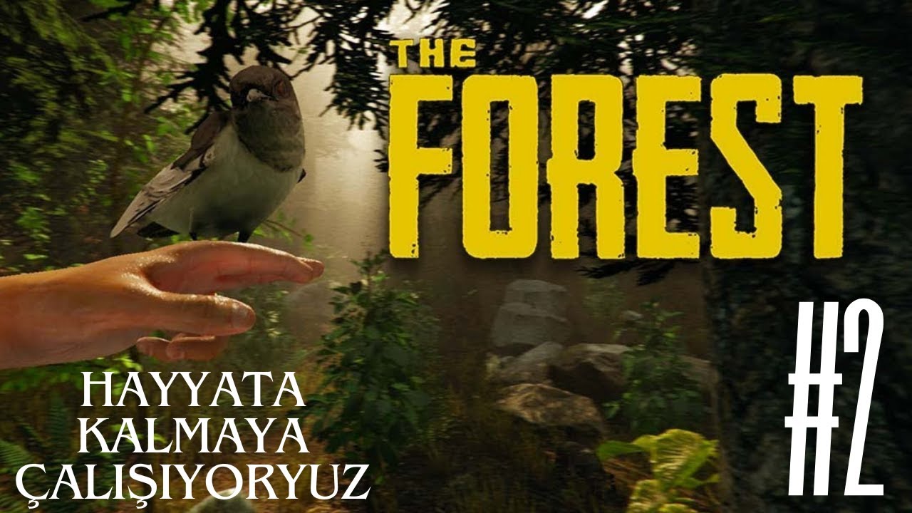The Forest | Evimizi İnşa Ettik ve Yamyamlarla Savaştık! #theforest