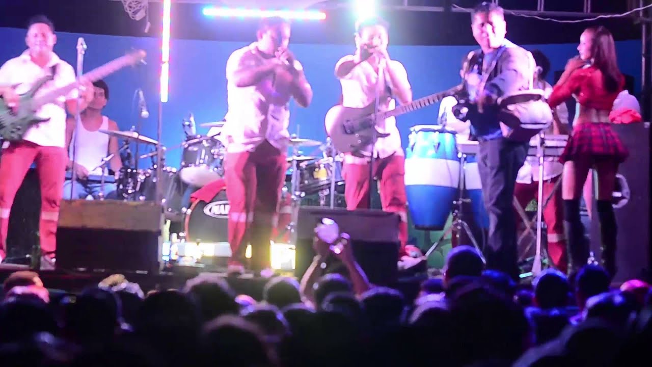 EL PAJARO CAMPANA