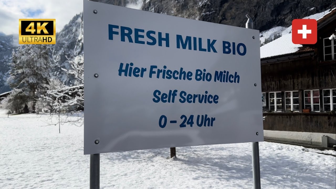 SWISS MILK VENDING MACHINE - Stechelberg, Sandbach Switzerland - BEST MILK ON THE PLANET (4K)