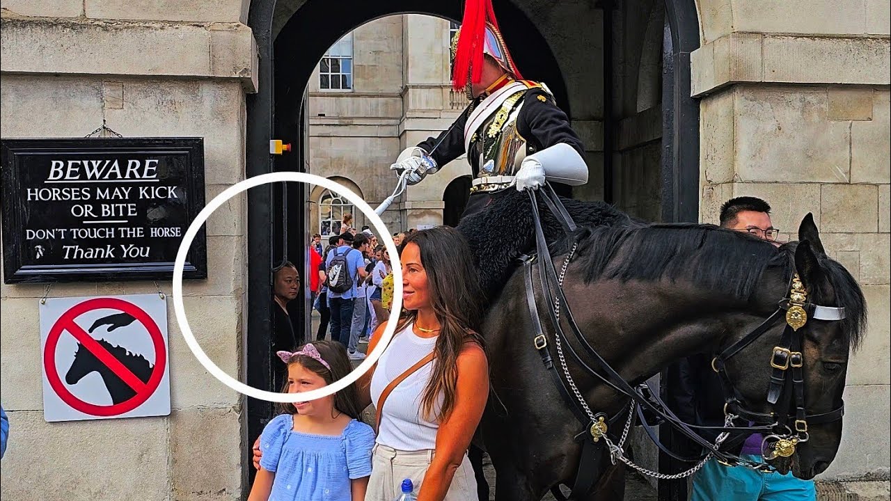 TWIN RATS UPDATE AND AN IDIOT CHINESE TOURIST GETS LOST IN THE HORSE BOX at Horse Guards!