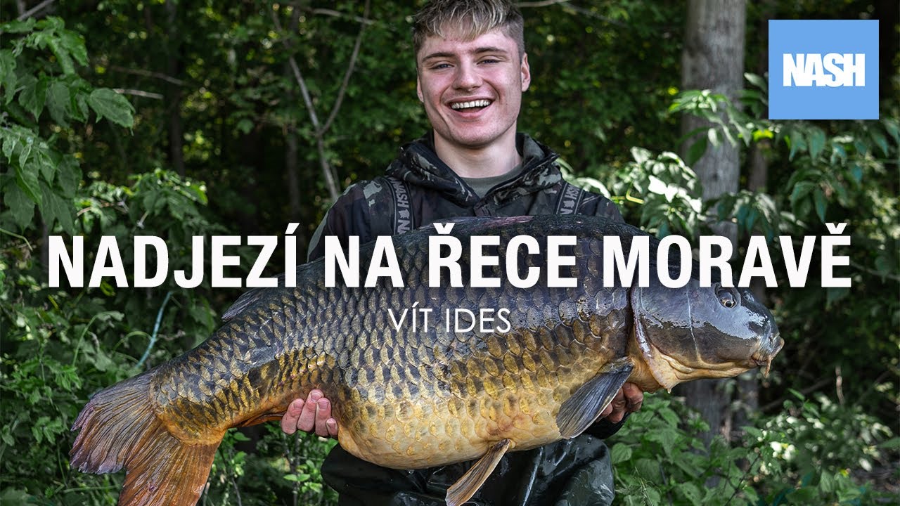 Lov kaprů na řece Moravě - 20kg z nadjezí - Vít Ides