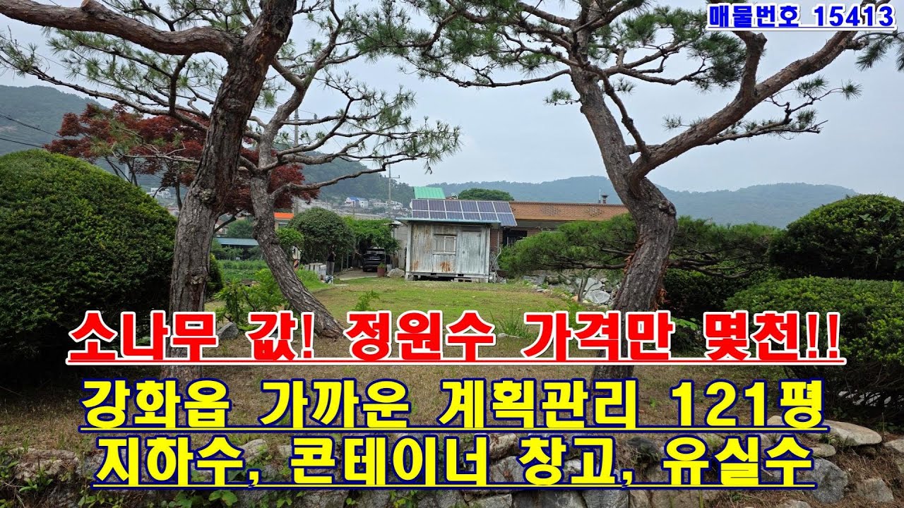 15413, 선원면 선행리, 강화읍 가까운 계획관리 토지, 정원수, 유실수,지하수,창고, 집터로 잘 가꾼 전. 값나가는 소나무4그루 값만 몇천은 될듯요..강화114부동산