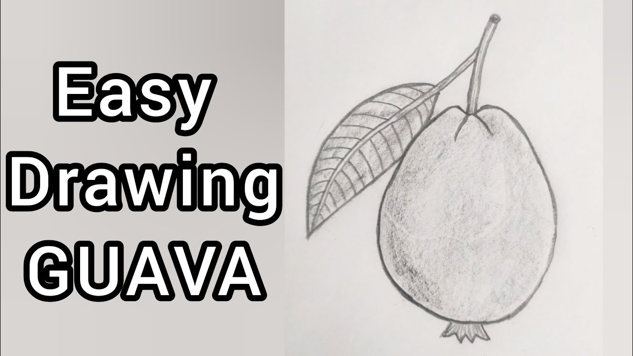 How to draw Guava Fruit | সহজে পেয়ারা আকি | #চারুকলা #ntrca 