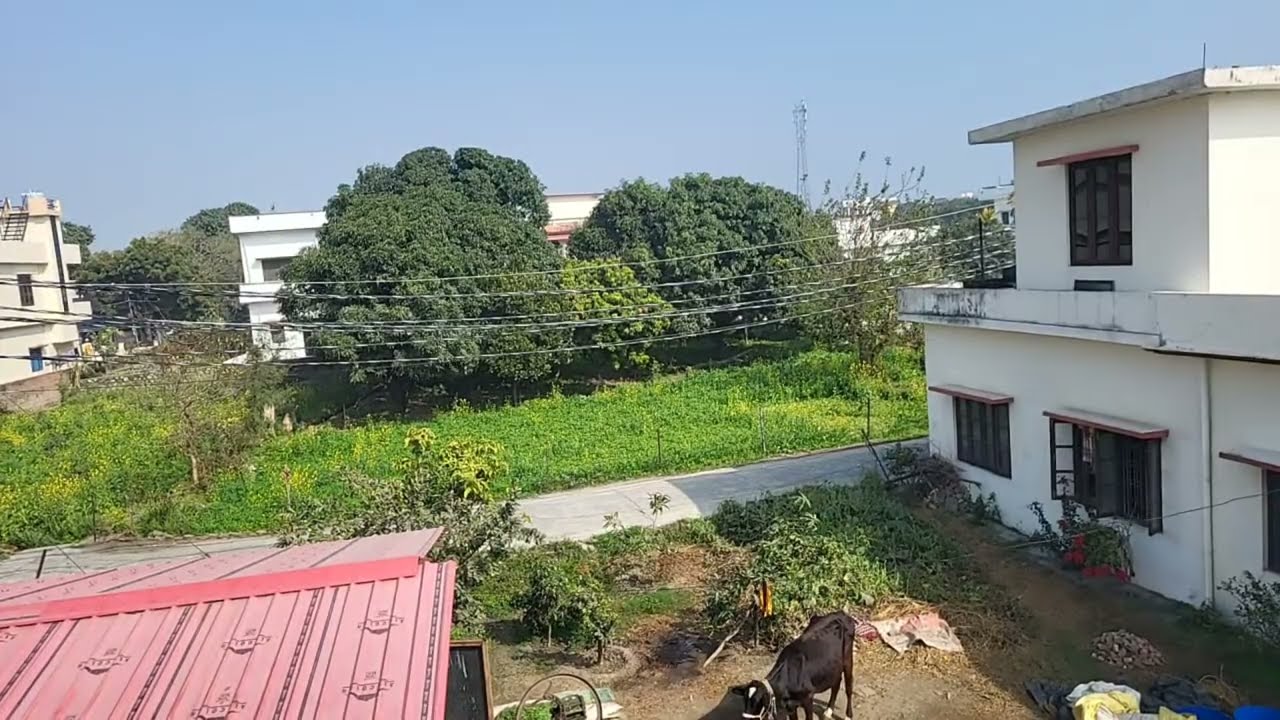 मेरी लाइव में आप लोगों का स्वागत है Kamla Adhikari is live