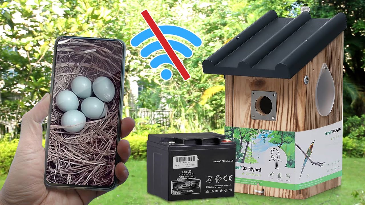 Power Wireless Bird Box Camera with Battery