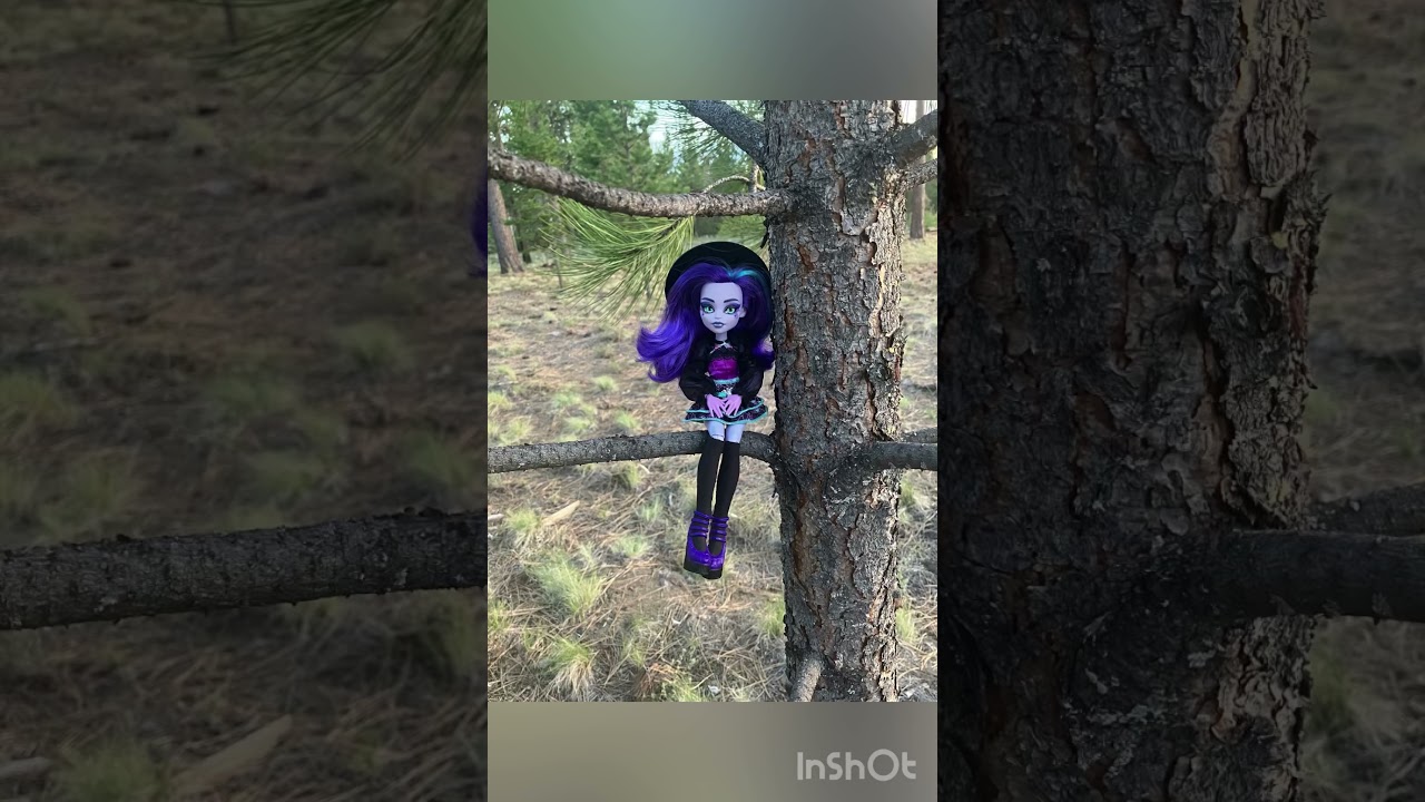 Doll Vacation! With Limitless, Twyla, Cleo, and Ainsley