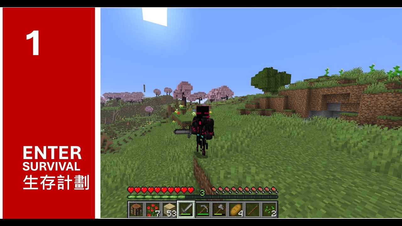 Enter's Minecraft Survival : New World (EP1)