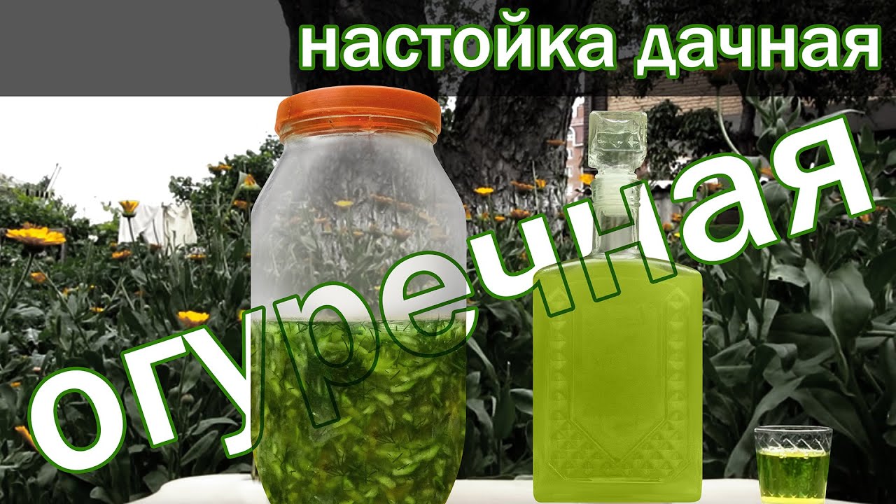 настойка 