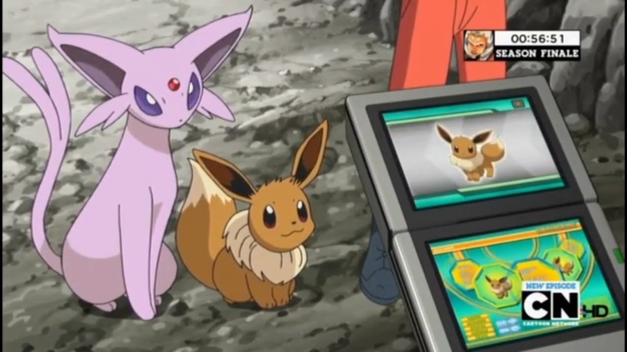 Eevee Pok&eacute;dex Entries..wmv