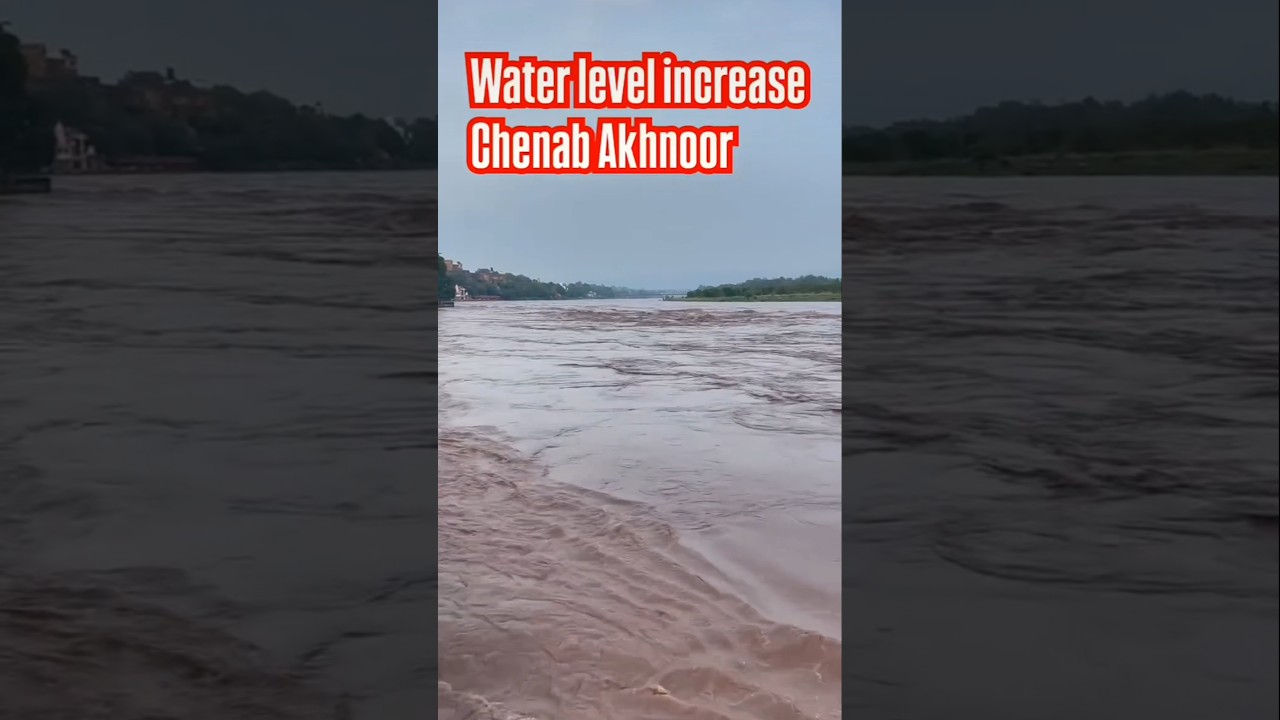 Jammu Chenab akhnoor Red Alert 🚨  Jammu  today news 