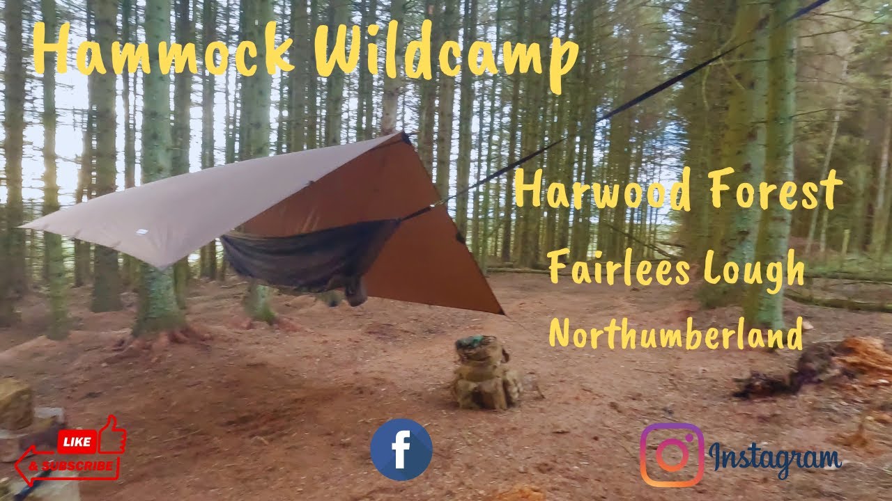 Wildcamping At Fairlees Lough In Harwood Forest