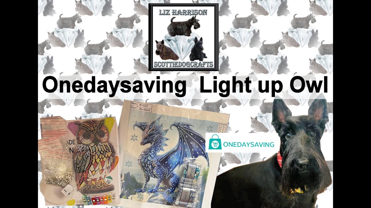 Diamond Painting | Unboxing | #onedaysaving | Owl Light | New Battery Pack | #onedaysavingspringsale