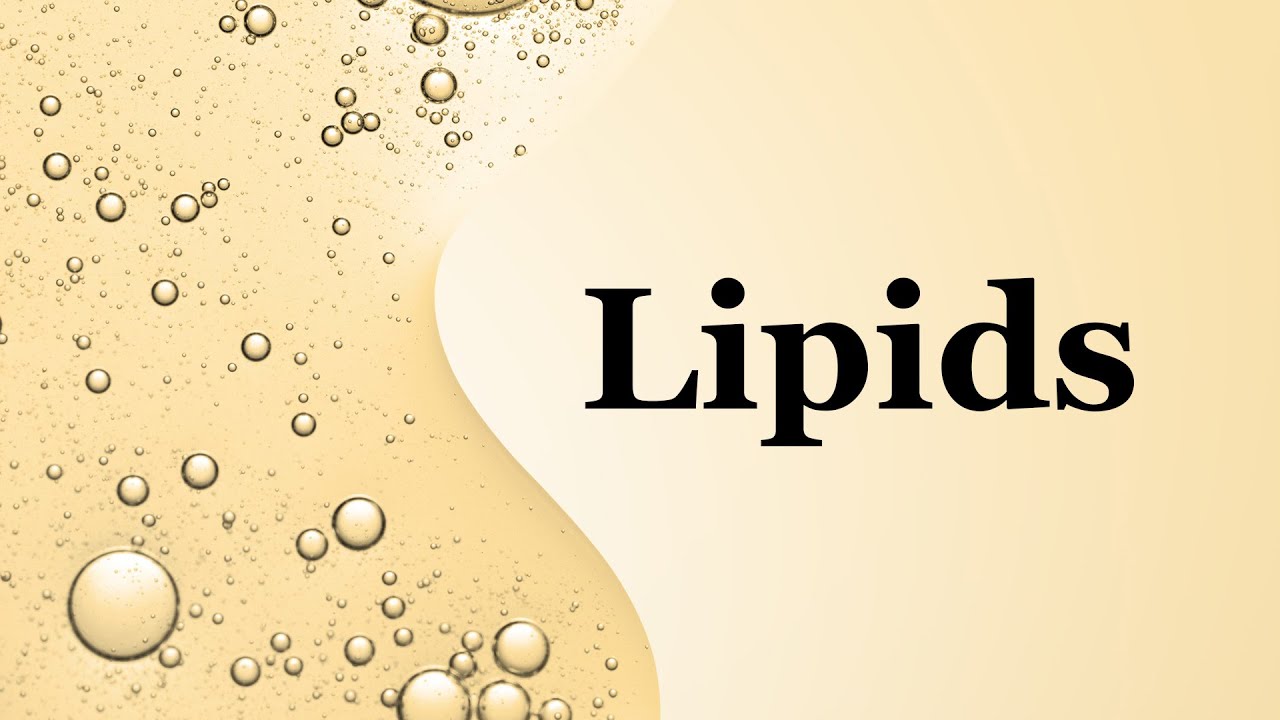 # Grade-11 (Biology) Lipids အဆီဓာတ်အကြောင်းလေ့လာကြည့်ကြရအောင်