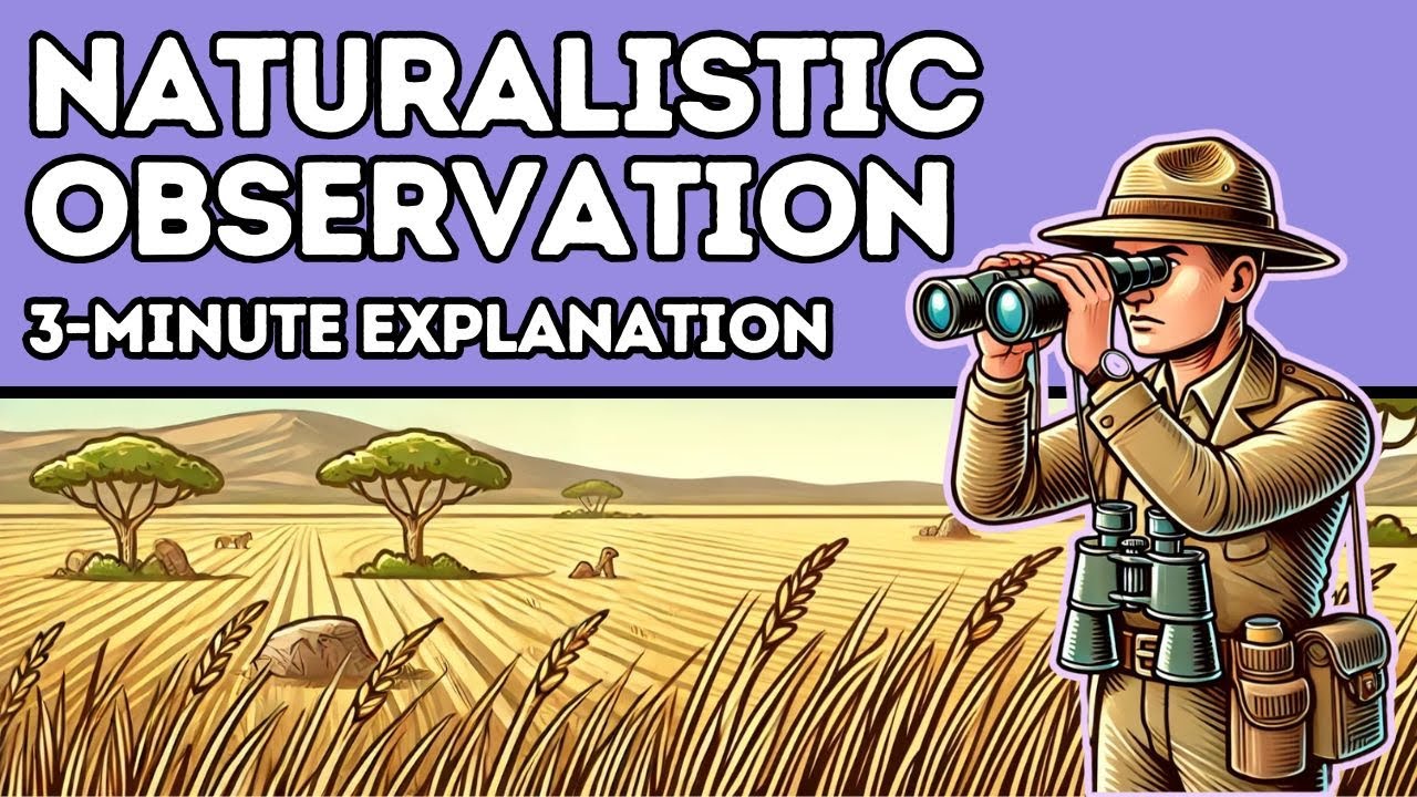 Naturalistic Observation: Definition and Examples (Explained in 3 Minutes)
