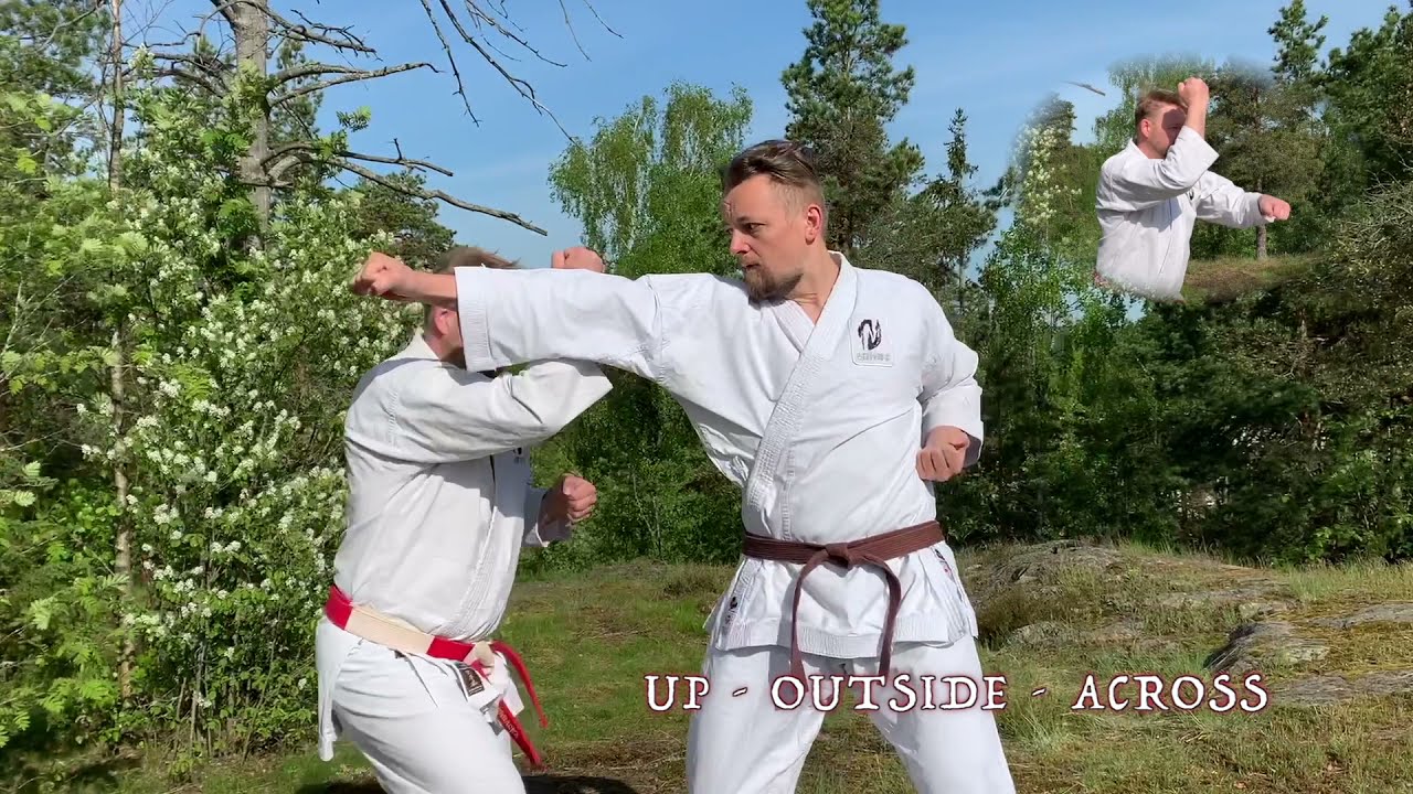 Kaizen sho kata