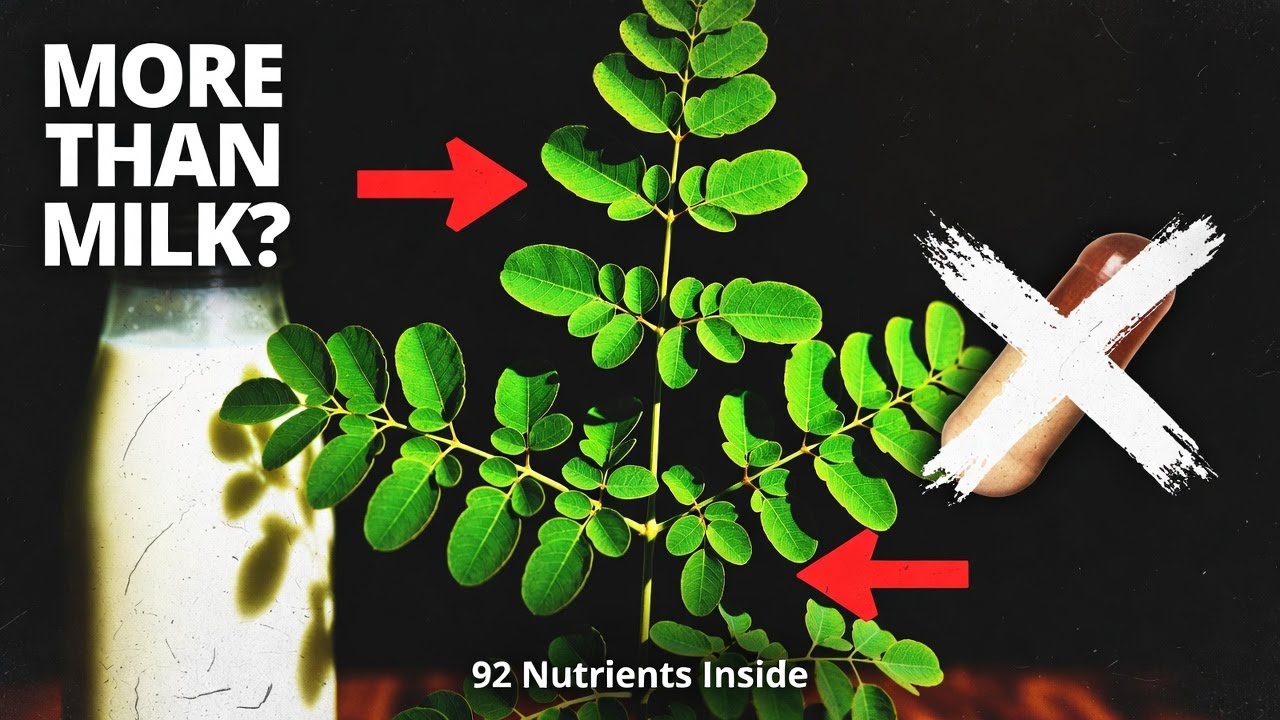 More Protein Than Milk. 92 Nutrients In 1 Plant. Why Was It Erased?