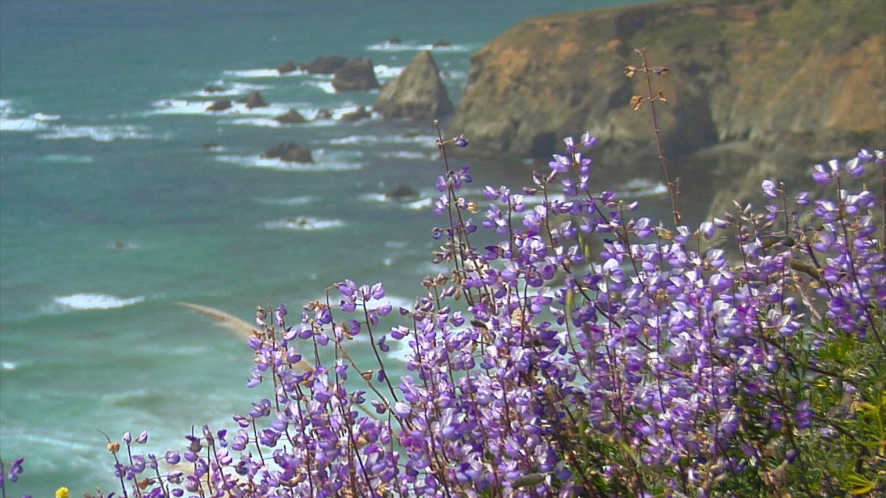 Relaxing Music, Peaceful Music, Instrumental Music, 