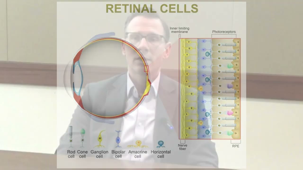Positive Results from Randomized Controlled Trials of MCO-10 Gene Therapy for RP & Stargardt