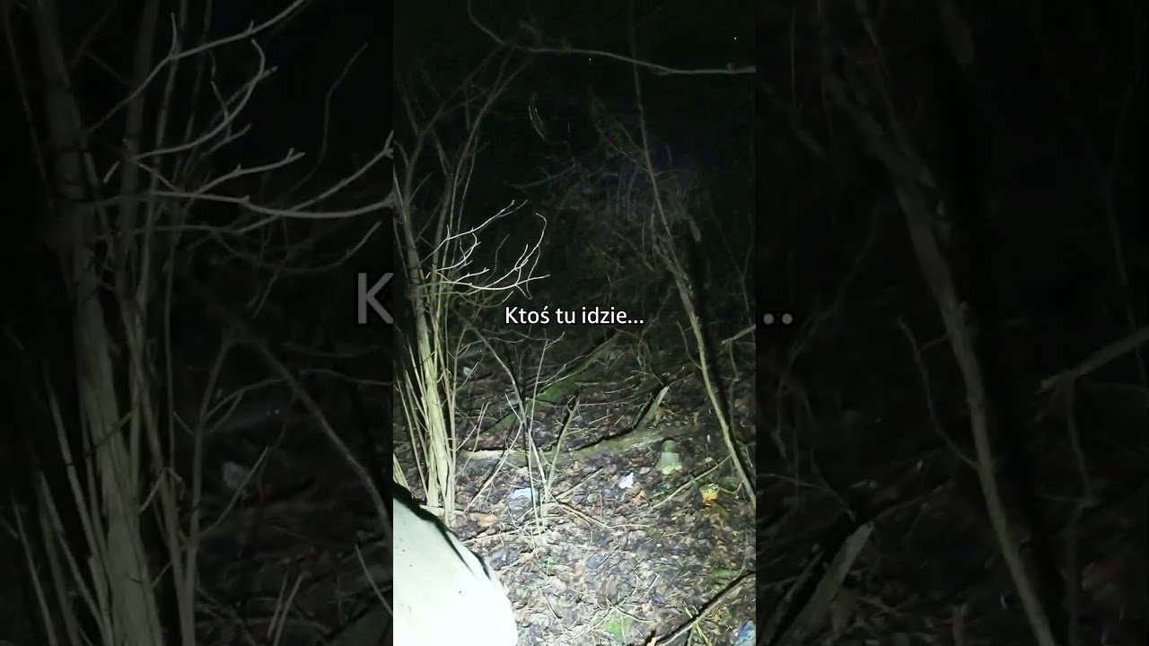 Przyłapani na urbexie... #shorts #urbex